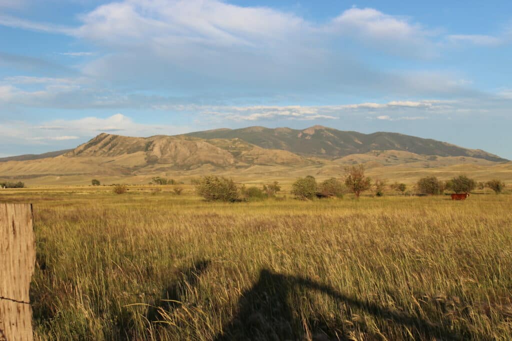 A wide grassy field with scattered bushes, distant rolling hills, and mountains under a blue sky with wispy clouds; a small brown cow stands to the right. Perfect as a hunting property or cattle ranch, with a wooden fence in the foreground.