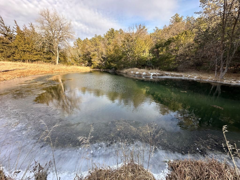 A small pond partially frozen at the edges, surrounded by dry grass, leafless trees, and evergreens under a cloudy sky. The water reflects the trees and sky—an inviting scene for those seeking unique hunting property or land for sale.