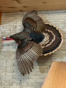 Abundant wildlife on this Nebraska ranch for sale.