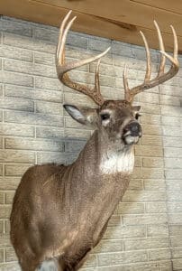 Excellent hunting and abundant wildlife on this Nebraska ranch for sale.