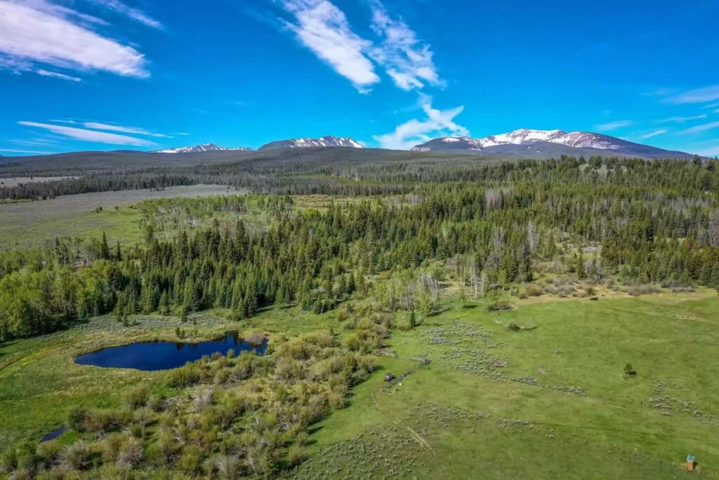 Aerial view of recreational land featuring a vast green meadow with a small pond, dense forest, and snow-capped mountains under a bright blue sky with scattered clouds.