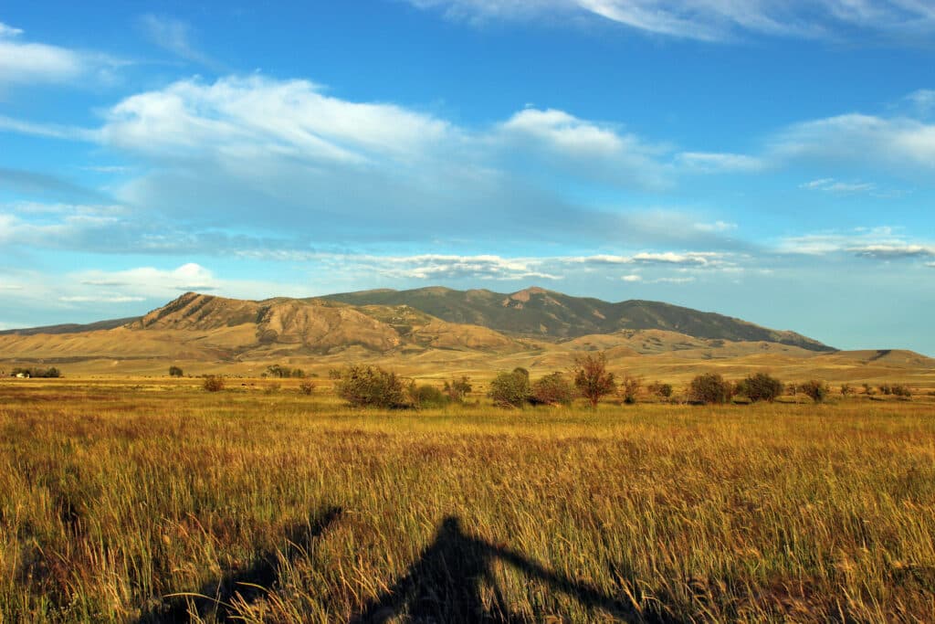 Wide open golden grassland with scattered shrubs, shadow of a fence in the foreground, and distant mountains under a bright blue sky—ideal as a scenic cattle ranch or versatile recreational land.