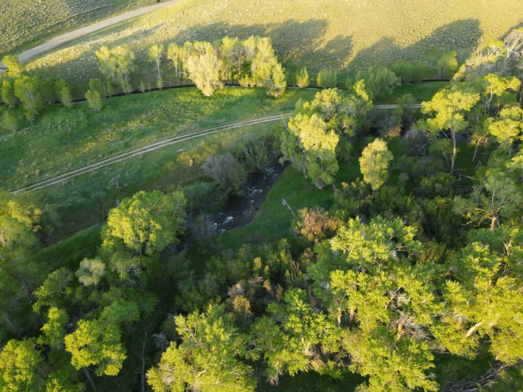 Aerial view of a green landscape with dense trees, a winding dirt path, and a small creek running through the scene—ideal recreational land or hunting property, all bathed in warm sunlight.