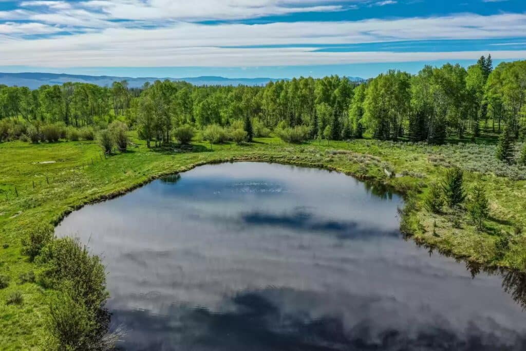 A small, calm pond surrounded by lush green trees and grass under a blue sky with scattered clouds, with distant hills on the horizon—ideal for those seeking scenic land for sale or a peaceful hunting property.