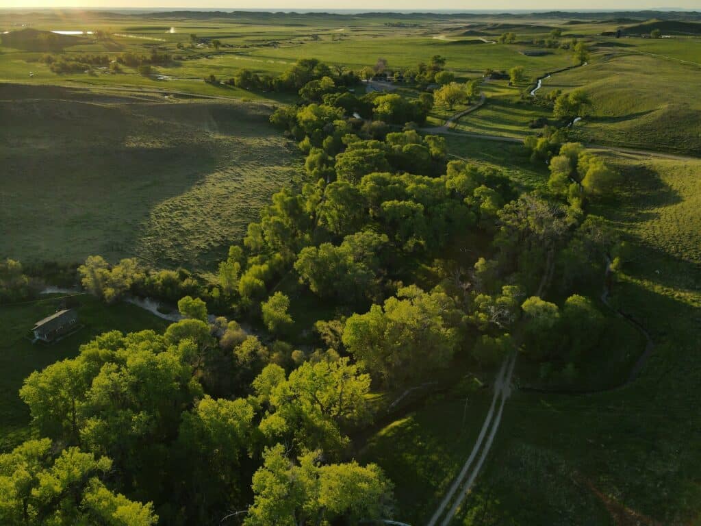 Aerial view of lush green recreational land at sunset, featuring a winding dirt road, dense clusters of trees along a creek, open grassy fields, and distant hills under a clear sky.