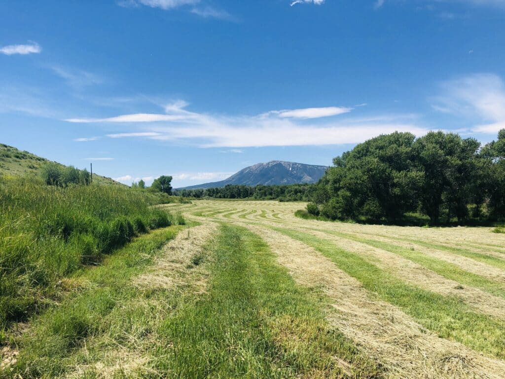 A sunny landscape with freshly mowed grass fields, green trees, and distant mountains under a blue sky with scattered clouds—perfect for a cattle ranch or recreational land.