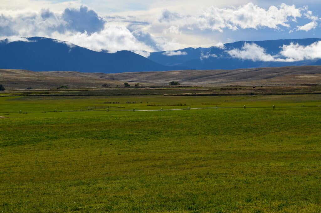Wide green field stretches toward rolling brown hills and distant mountains. Patches of sunlight and low clouds scatter across the landscape—perfect scenery for a cattle ranch or land for sale under a bright, partly cloudy blue sky.