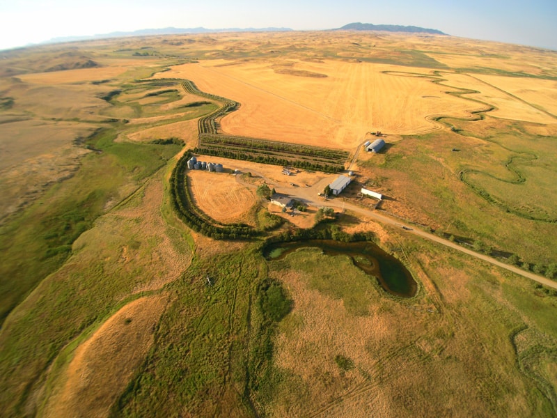 Aerial view of a rural landscape with yellow fields, winding green river, farm buildings, and a small pond—ideal recreational land or hunting property—surrounded by open countryside under a clear sky.