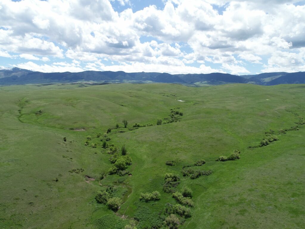 Aerial view of a vast, rolling green landscape with scattered shrubs and trees, under a partly cloudy sky and distant mountains—ideal recreational land or hunting property with breathtaking views.
