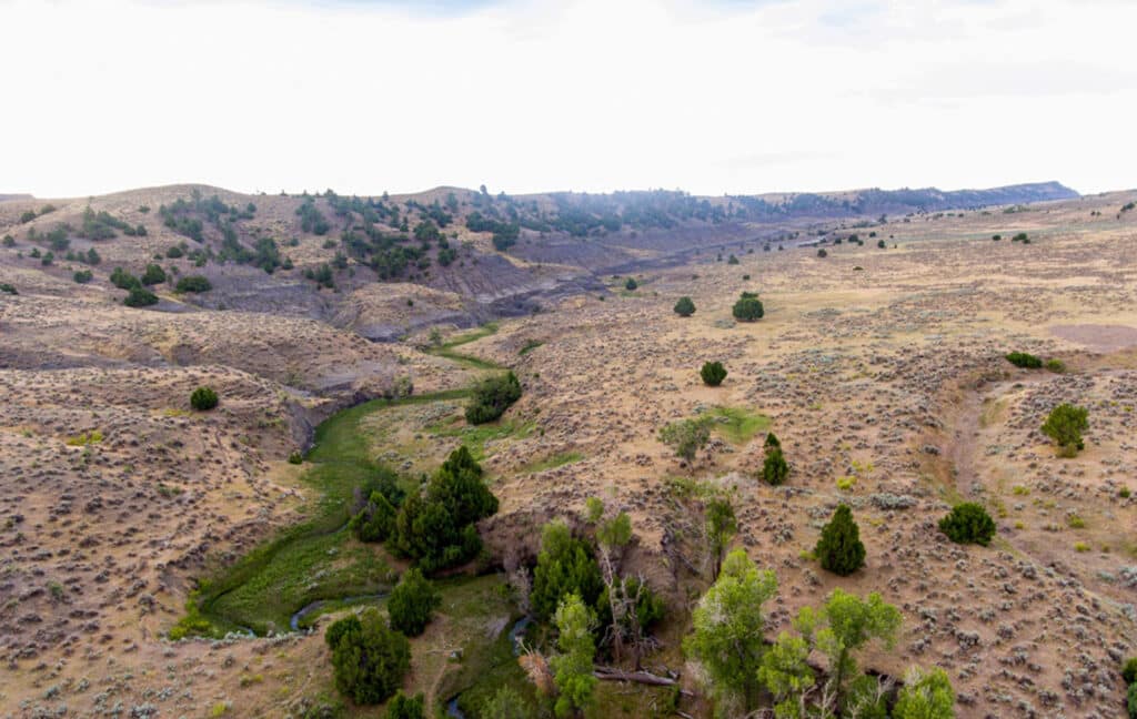 A dry, hilly landscape with scattered shrubs and small trees, featuring a winding creek flowing through a grassy area under a cloudy sky—an ideal setting for recreational land or ranch for sale.