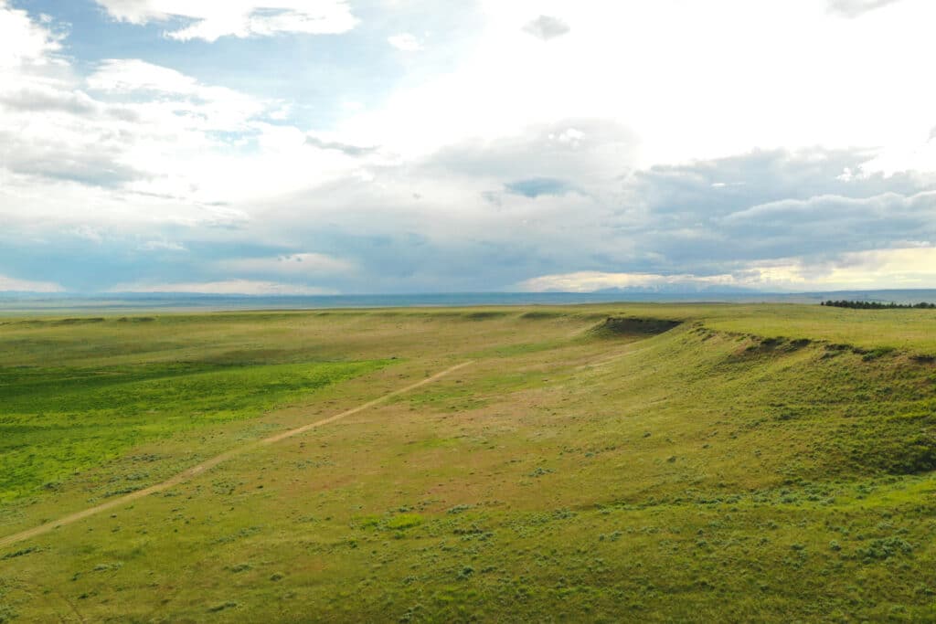 A wide, grassy plain stretches under a partly cloudy sky, with a gentle slope and a dirt path curving through this prime land for sale. The distant horizon is visible under soft, diffused light—ideal for a cattle ranch or hunting property.