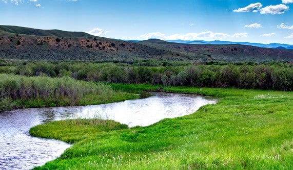 A winding river flows through lush green grass and shrubs with rolling hills in the background under a blue sky—ideal recreational land or hunting property.