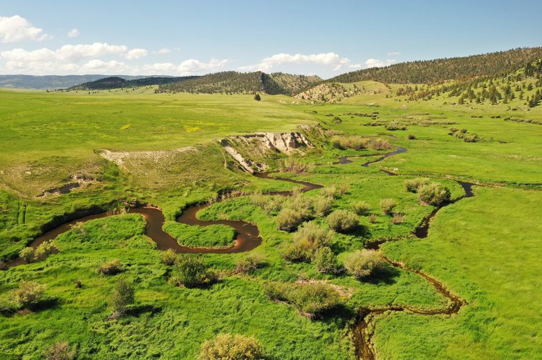 A winding river flows through a lush green valley with grassy hills and scattered trees, perfect for recreational land or a cattle ranch, under a bright blue sky with a few clouds.