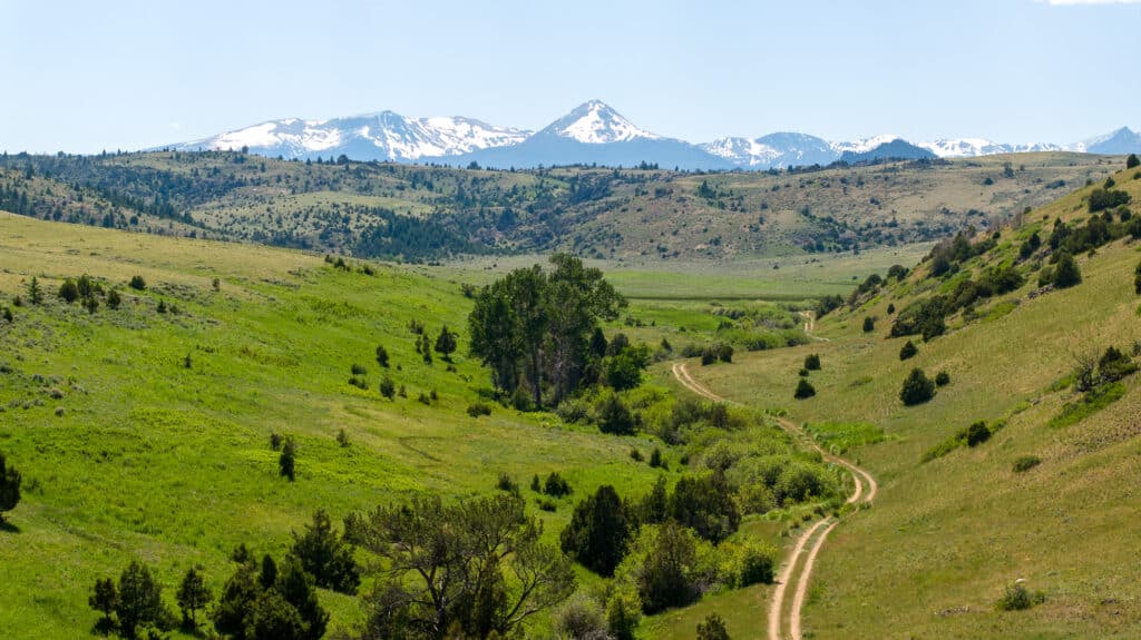 A winding dirt path cuts through a green valley with scattered trees, leading toward distant snow-capped mountains under a clear blue sky—an ideal recreational land or cattle ranch opportunity.