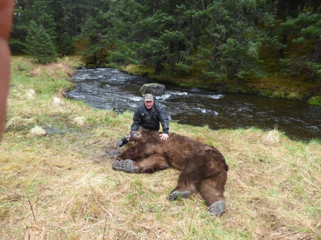 A person kneels beside a large, brown bear lying on the ground near a flowing creek, surrounded by grass and trees—ideal scenery for hunting property or a ranch for sale in this forested area.
