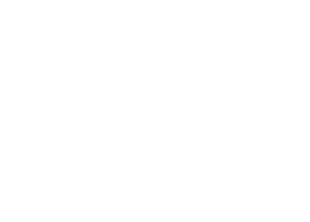 Craig A. Janssen's signature