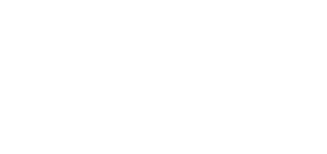 Logo showing a stylized globe with dots, next to the text FLY FISHERS INTERNATIONAL in bold, all caps, white letters on a light background—perfect for those interested in land for sale or a cattle ranch.