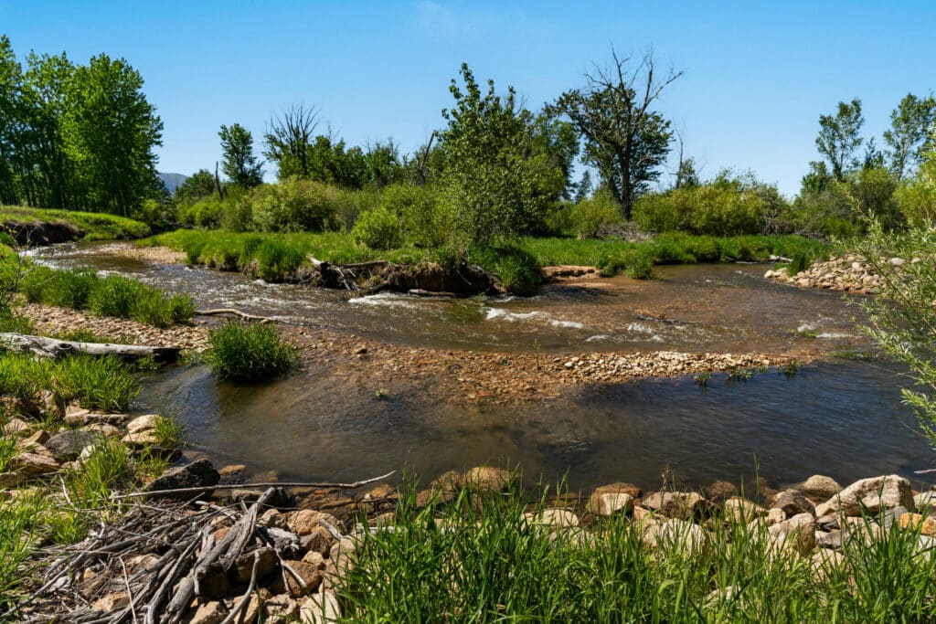 A shallow creek with clear water flows over rocks and pebbles, surrounded by green grass, bushes, and trees under a bright blue sky—ideal scenery for a cattle ranch or hunting property.