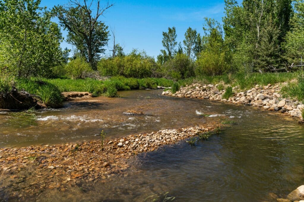 A shallow, clear stream flows over rocks and pebbles, surrounded by green grass, shrubs, and tall trees under a bright blue sky on a sunny day—perfect land for sale for your future cattle ranch or hunting property.