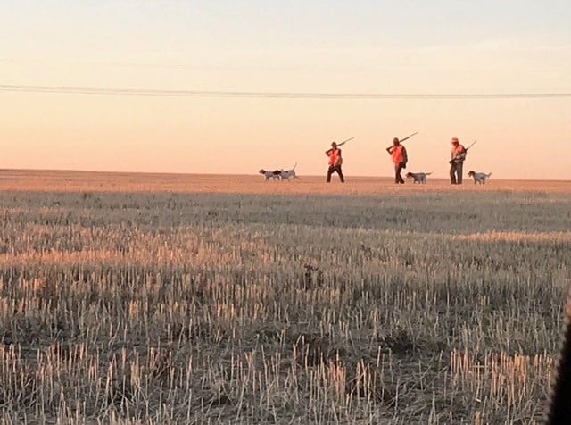 Three people in orange jackets walk across a harvested field at sunset on recreational land, each carrying a rifle with three dogs alongside them. The sky is clear and the flat, open landscape stretches like a classic cattle ranch.