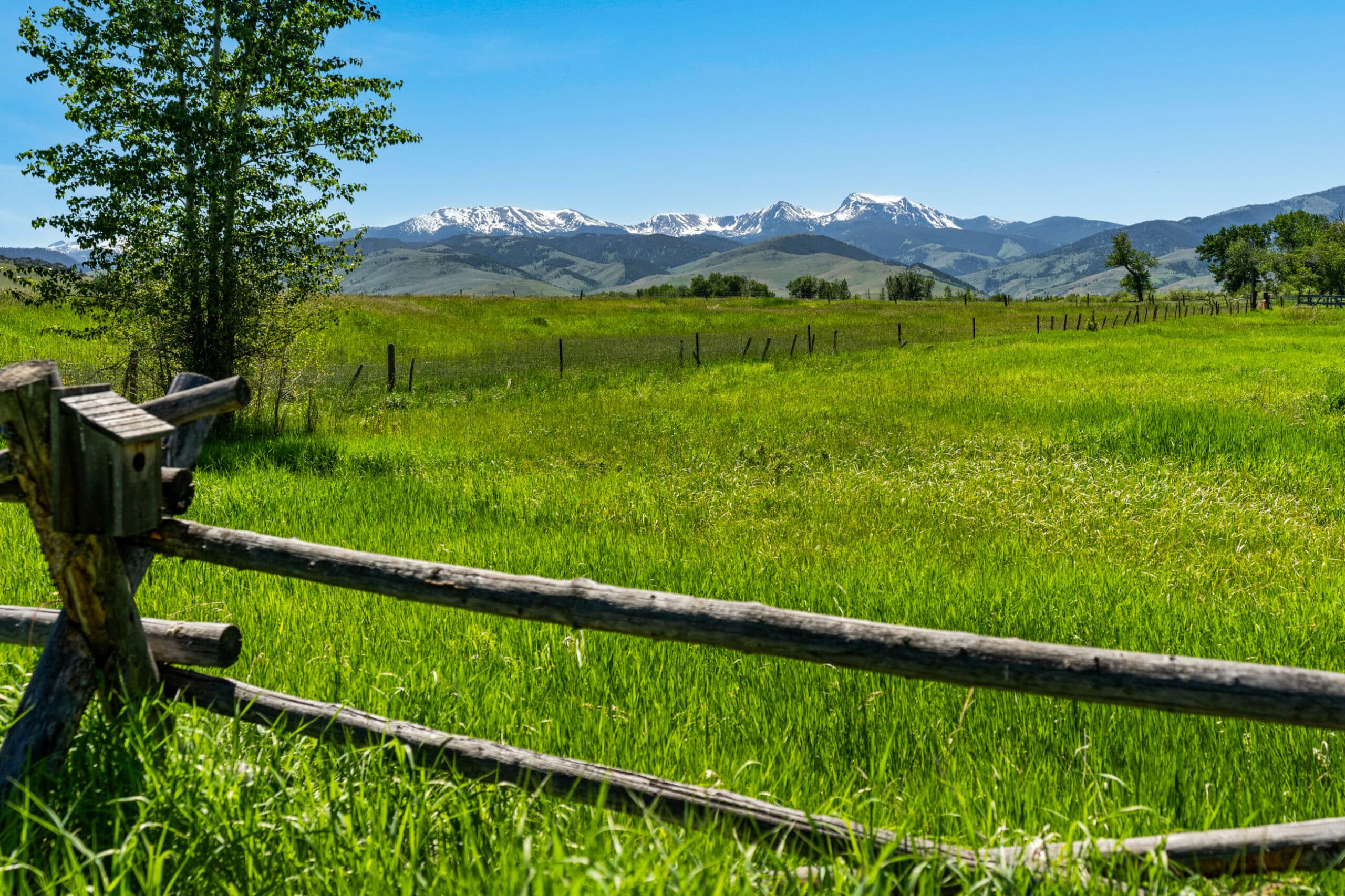 A rustic wooden fence borders a green grassy field, perfect recreational land with trees and distant snow-capped mountains under a clear blue sky.