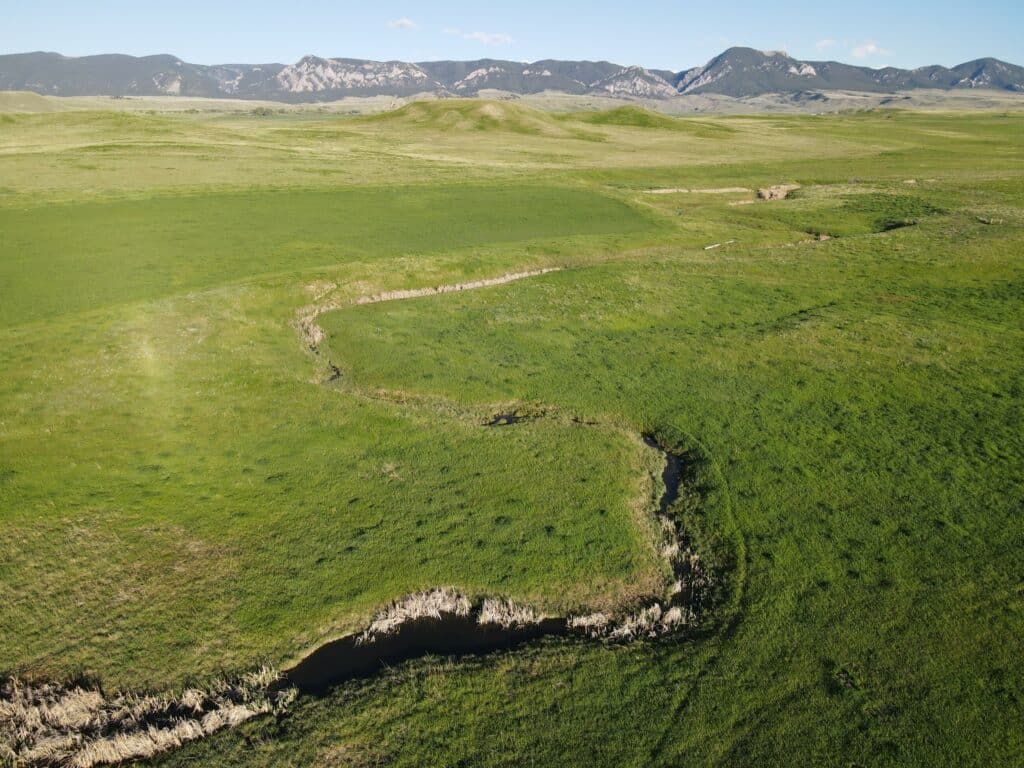 A winding stream flows through a vast green meadow under a clear sky, with distant mountains in the background—ideal land for sale, perfect for a cattle ranch or hunting property.