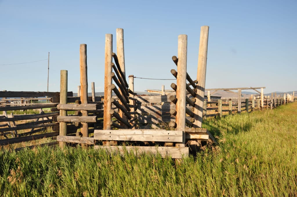A wooden cattle chute stands in a grassy field under a clear blue sky, surrounded by wooden fences. This rustic structure is perfect for a ranch for sale or anyone seeking prime hunting property.
