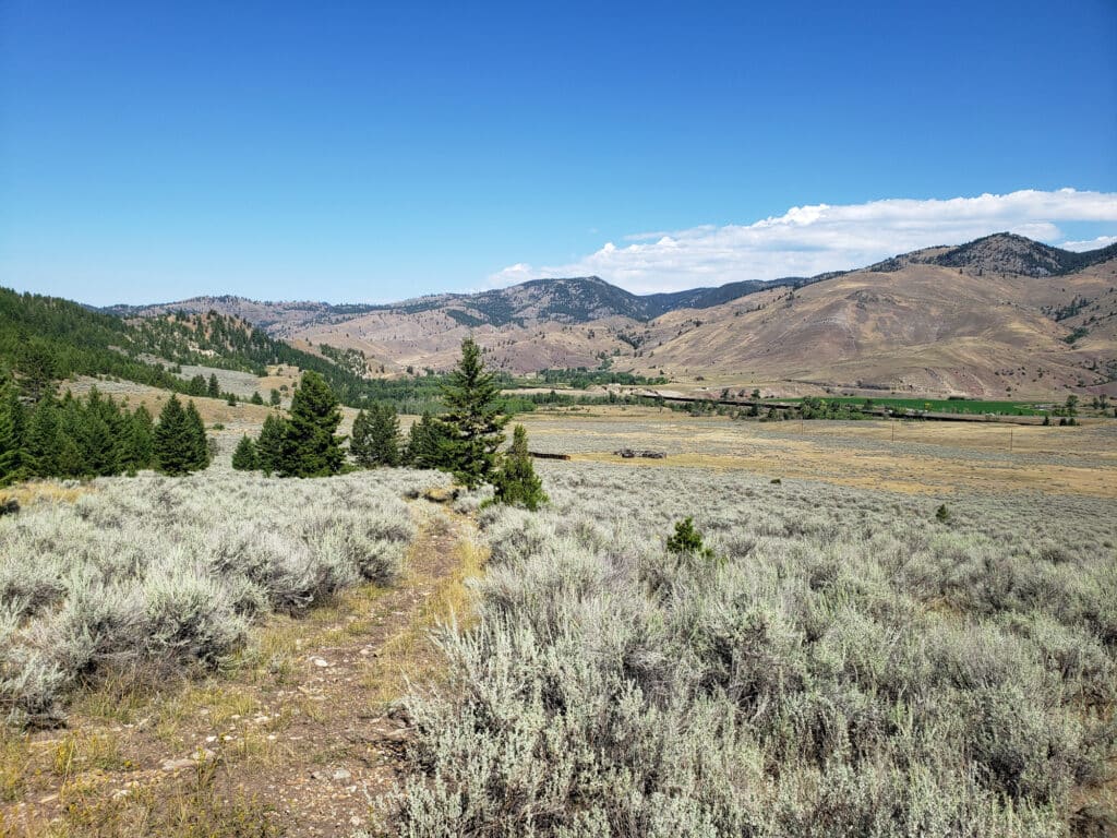 A scenic landscape featuring land for sale with sagebrush and grassy fields, clusters of evergreen trees, rolling hills, and distant mountains under a clear blue sky with a few clouds.