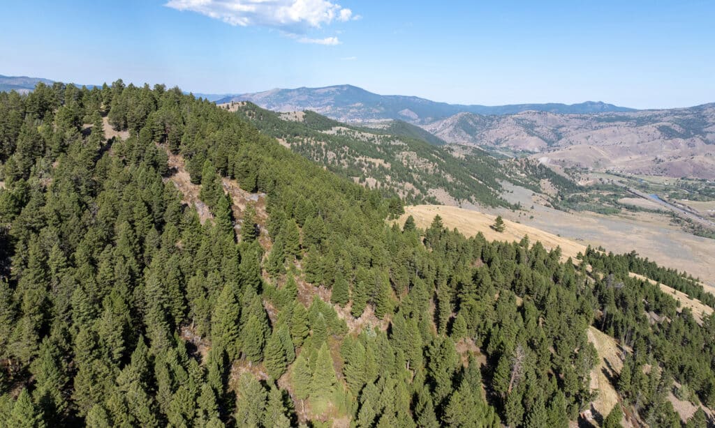 Aerial view of a forested mountain slope with dense green pine trees, leading to a valley with hills and distant mountains—ideal recreational land under a clear blue sky.