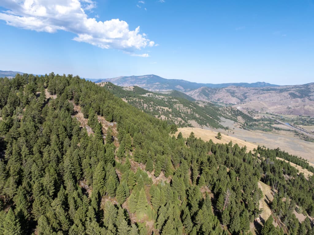 Aerial view of a hillside hunting property with dense green pine trees, open grassy areas, and distant mountains under a clear blue sky dotted with a few clouds.