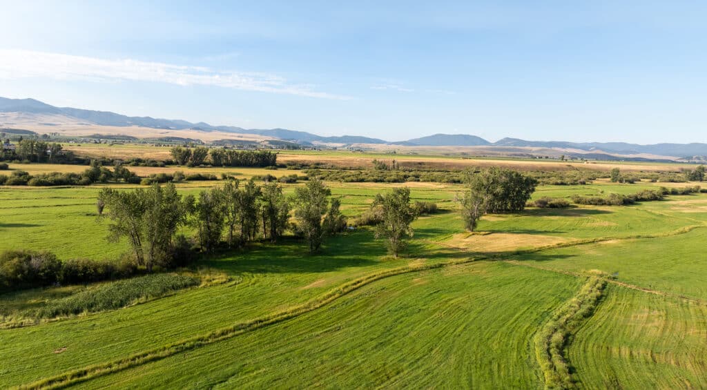 A wide, green field with scattered trees, bordered by distant hills and mountains under a clear blue sky on a sunny day—ideal hunting property or perfect land for sale.
