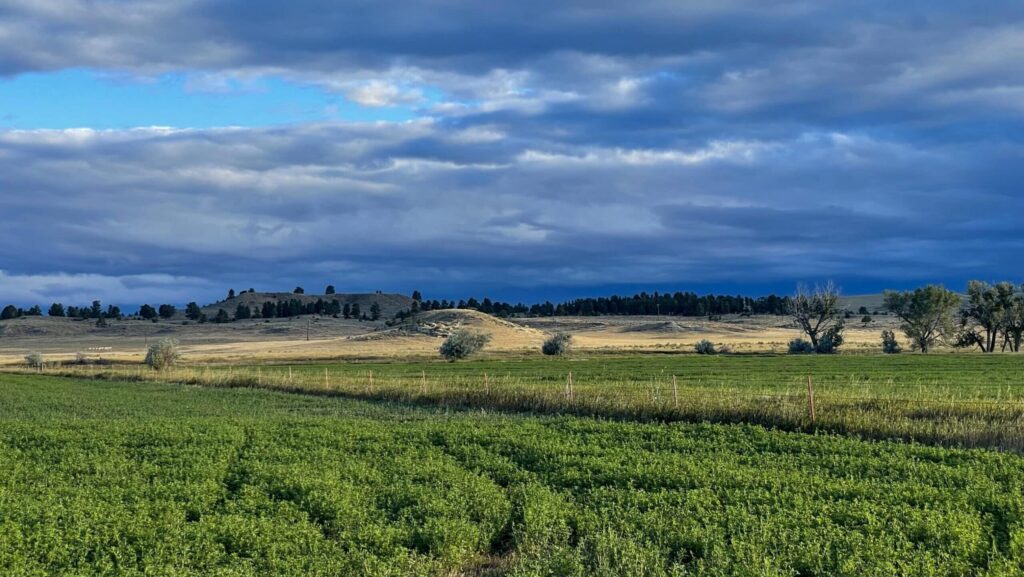 Green fields stretch toward gently rolling hills with scattered trees under a dramatic sky, perfect for those seeking land for sale or prime hunting property amid changing weather and late afternoon sunlight.