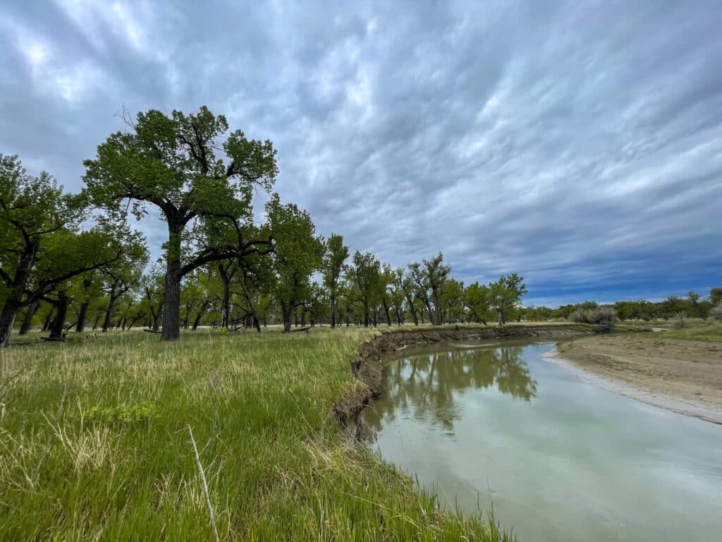 A calm river curves through a grassy field bordered by tall trees under a cloudy sky, creating a peaceful natural landscape—ideal recreational land for sale.
