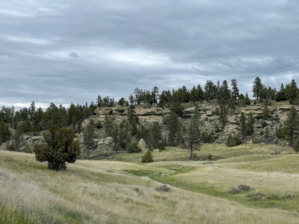 A grassy field with scattered trees leads to rocky cliffs topped with dense pine forest under a cloudy sky—an ideal hunting property or ranch for sale.