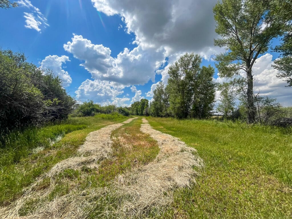 Condos Ranch for Sale in Wyoming - hay rows in a pasture. Cattle Ranch for Sale.