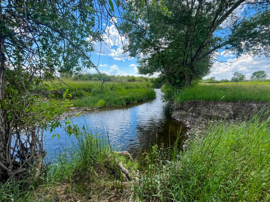 A calm, narrow river bordered by lush green grass and trees under a bright blue sky with scattered clouds, viewed from the riverbank—ideal recreational land or hunting property for nature lovers.