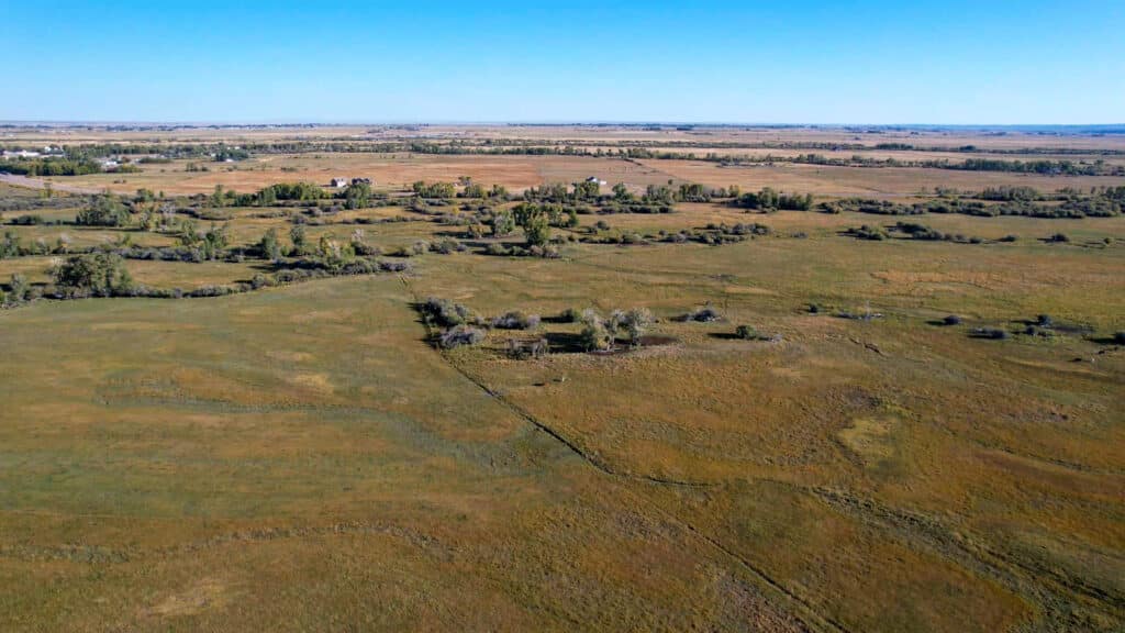A wide aerial view of open grasslands with scattered trees and a few distant houses under a clear blue sky, showcasing a flat landscape that stretches to the horizon—ideal as a scenic cattle ranch or land for sale.