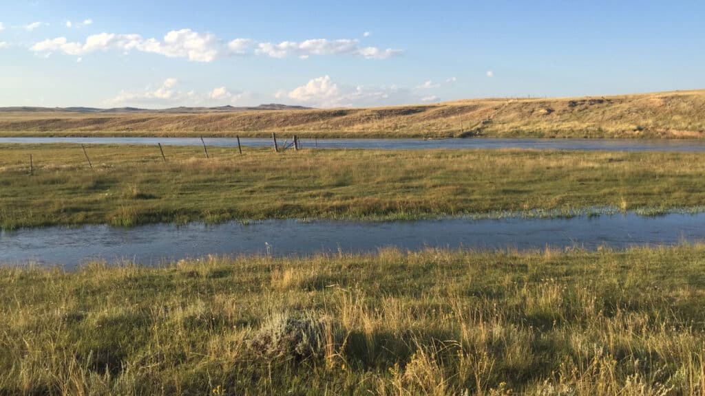 A grassy field with patches of standing water, bordered by a wire fence, stretches toward gently rolling hills under a blue sky—ideal recreational land or potential cattle ranch.