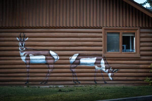 Two pronghorn antelope are painted on the wooden log wall of a cabin—one standing and one grazing—near a window on the right. Grass and a cement border line the front, evoking the charm of recreational land or ranch for sale.