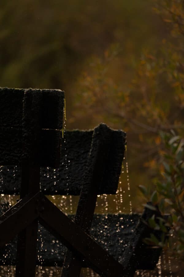 Dark, weathered wooden beams with water droplets dripping from their edges, set against a blurred background of green foliage on recreational land in dim, natural light.