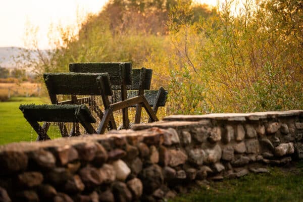 A close-up of three wooden benches covered in green moss next to a low stone wall, with trees and sunlight in the background—perfect for enjoying recreational land or envisioning your own ranch for sale.