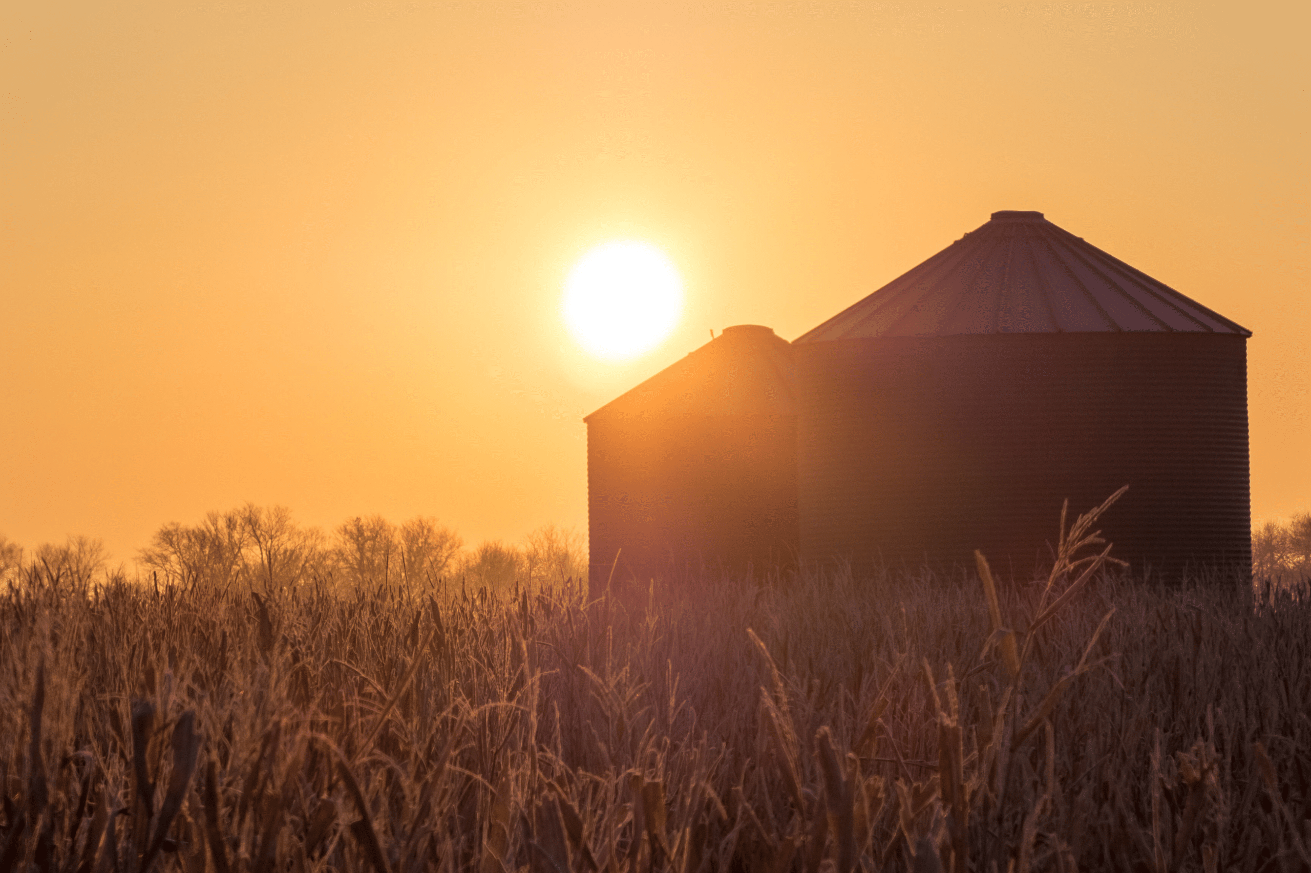 A sunrise or sunset over a field of tall grass with two large, round grain silos in the background, silhouetted against a golden-orange sky—ideal for showcasing ranch for sale or scenic land for sale.