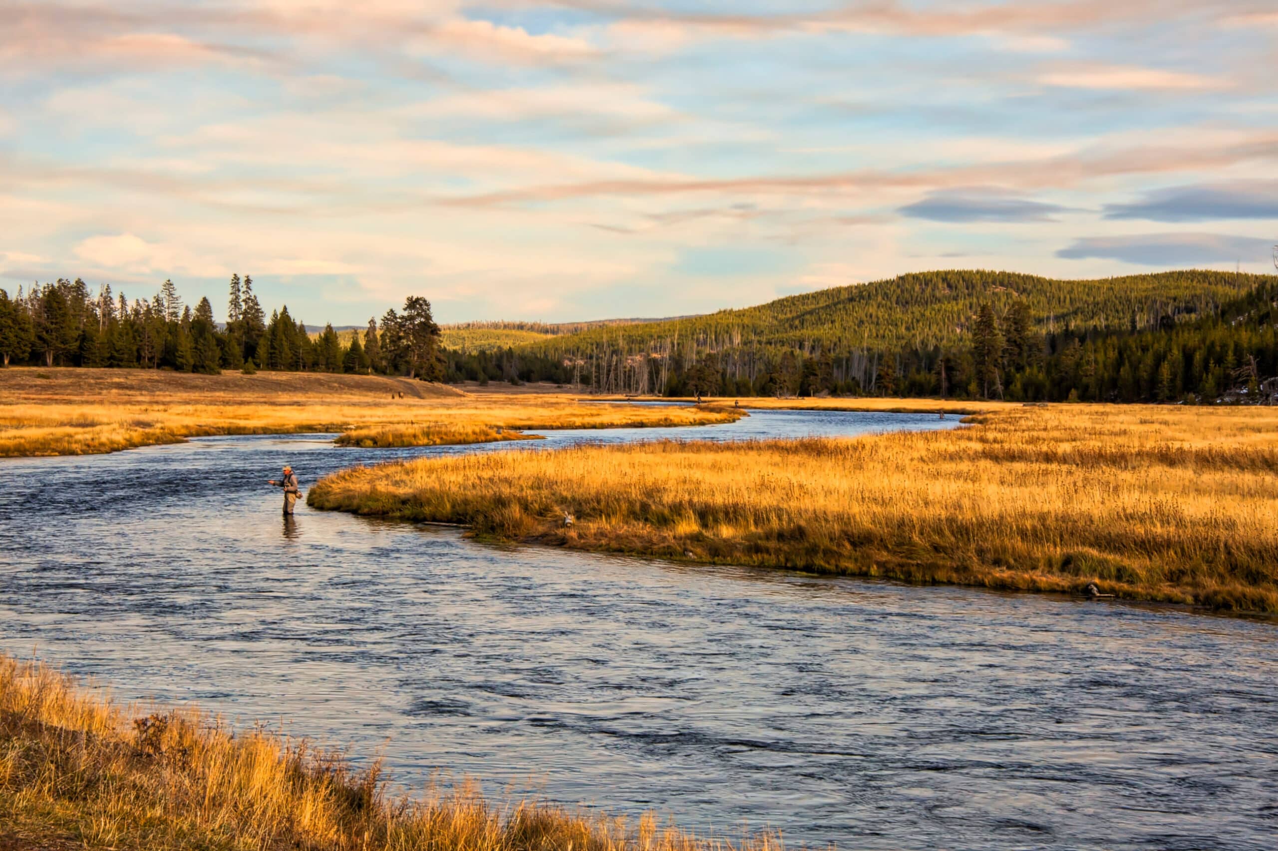 A person stands in a winding river, fly fishing on recreational land, surrounded by golden grasslands and pine trees under a partly cloudy sky, with rolling hills in the background.