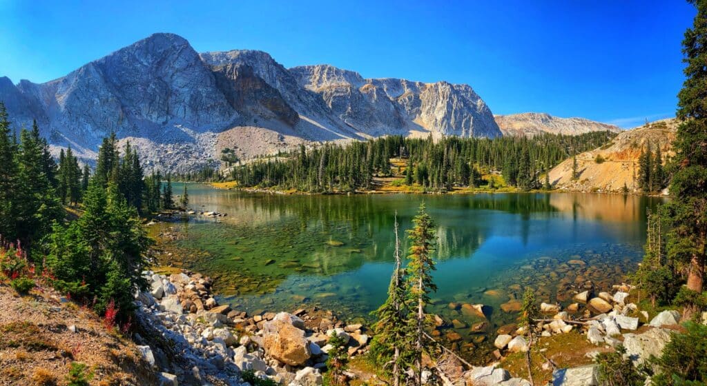 Medicine Bow National Forest shares a property line and access with Five Points Ranch