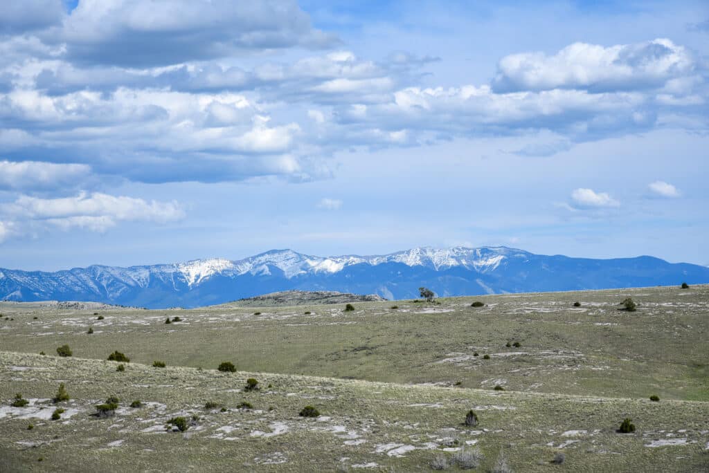 Grassy plain with scattered shrubs in the foreground, snow-capped mountain range in the background, and a partly cloudy blue sky above—an ideal ranch for sale with breathtaking views.