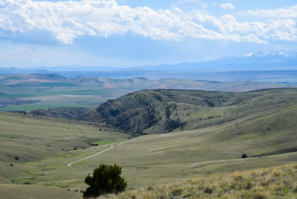 A winding road cuts through rolling green hills under a partly cloudy sky, with distant mountains on the horizon and patches of forests and fields—perfect recreational land or a scenic cattle ranch opportunity.