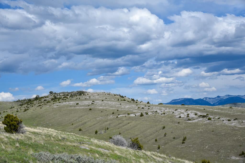 Rolling grassy hills with scattered shrubs under a partly cloudy blue sky. Distant mountains are visible on the horizon, and sunlight highlights this beautiful land for sale.
