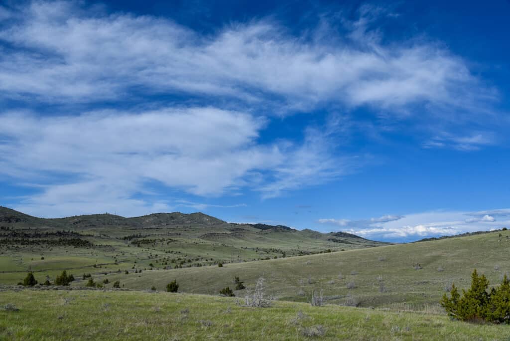 A wide grassy landscape with rolling hills and scattered small trees under a bright blue sky filled with wispy white clouds, perfect as recreational land or an ideal ranch for sale.
