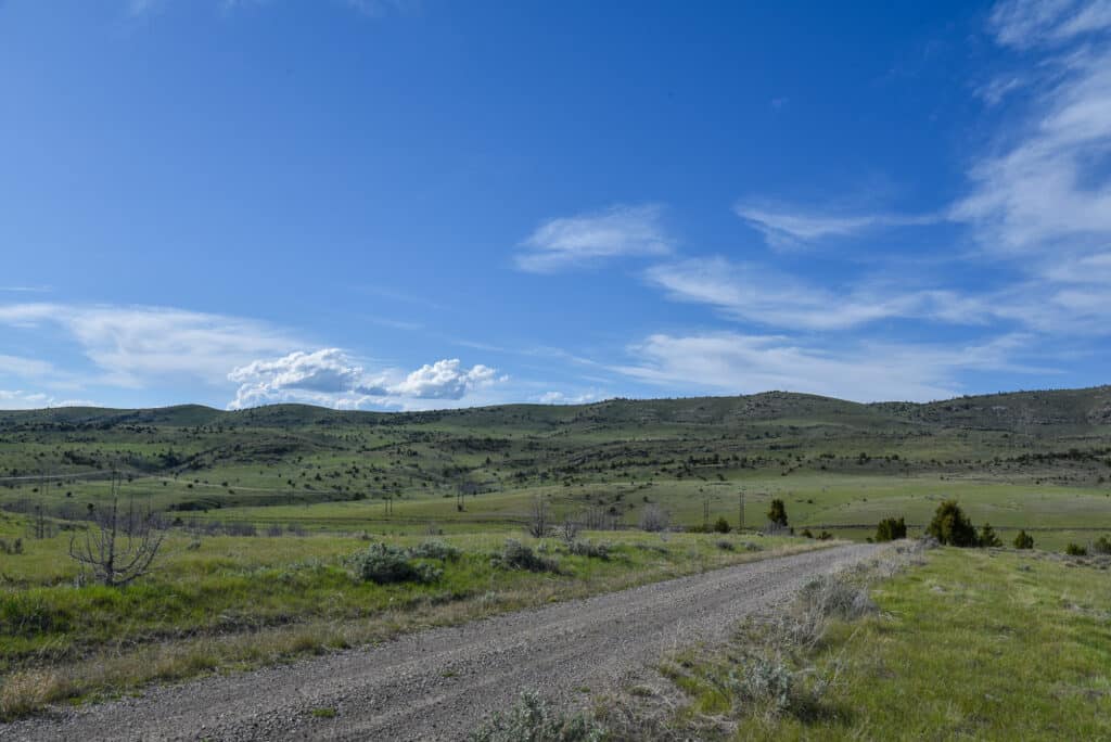 A dirt road runs through a wide, grassy plain with scattered bushes, leading to gentle green hills under a bright blue sky—perfect scenery for a cattle ranch or those seeking land for sale.