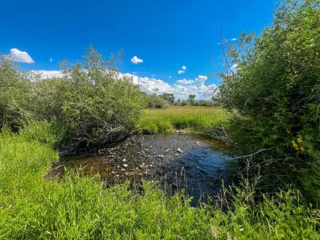 Properties in the Rocky Mountain West: live water on Condos Ranch